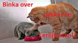 Banner van Binka's FoodBlog over lekker en verantwoord eten
